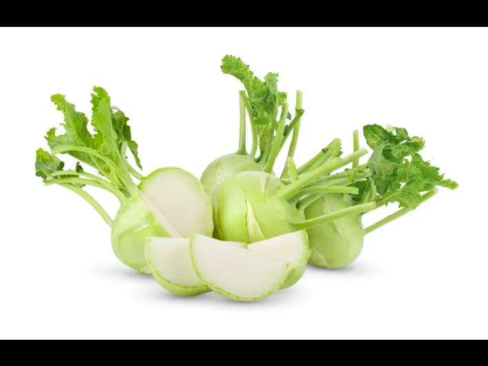 Knol Khol (3)
