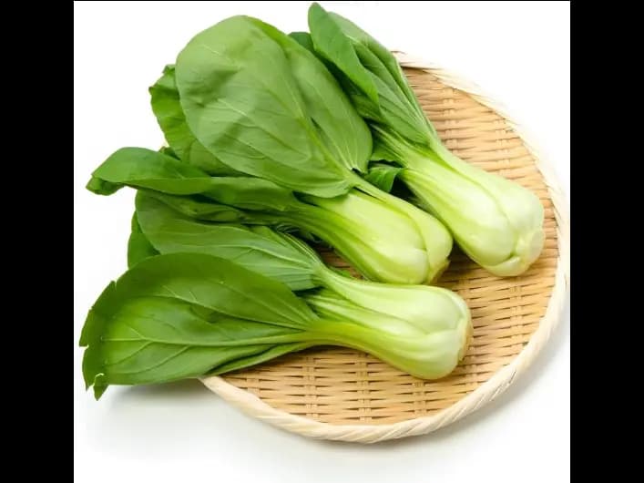 Bok Choy / Pak Choi (2)
