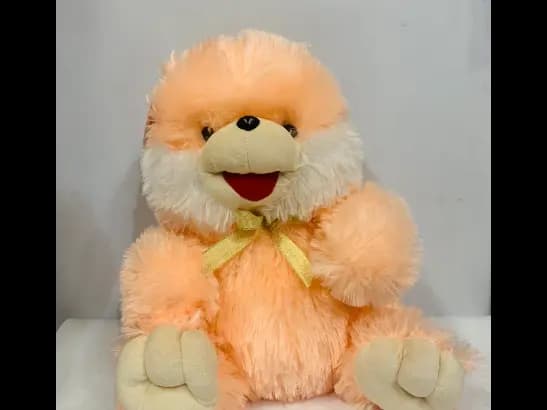 Teddy Bear Plush Toy (3)