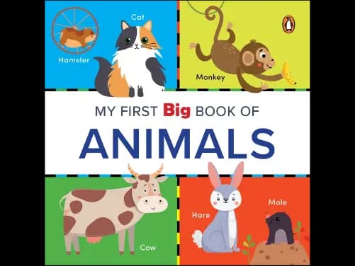 My First Big Book of Animals : Illustrated Board Book of Animals - 9789815127478