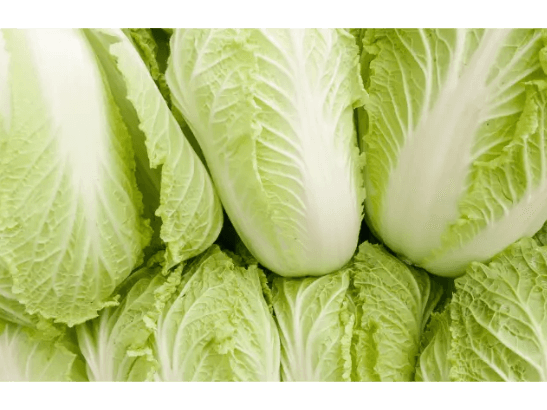Chinese Cabbage (4)