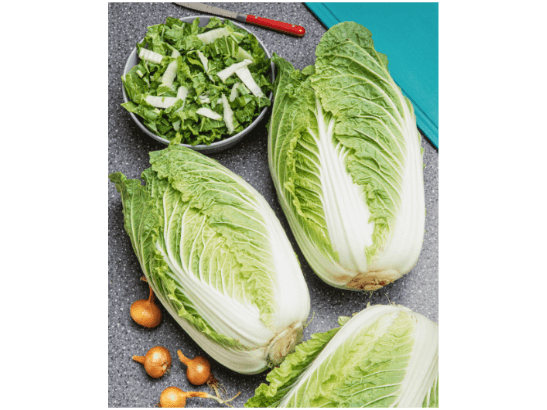Chinese Cabbage (5)