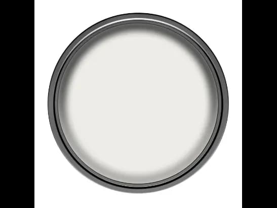 Dulux Interior and Exterior Brilliant White Paint (2)