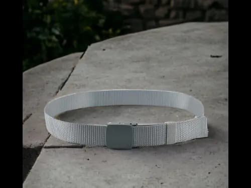 Men Webbed Wide Belt with Flap Buckle Closure