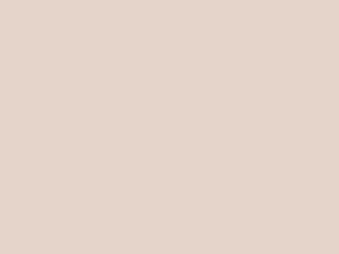Dulux Interior and Exterior Domestic Bliss Paint (00YY67/096) (2)