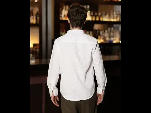 Men Regular Fit Shirt with Spread Collar (4)