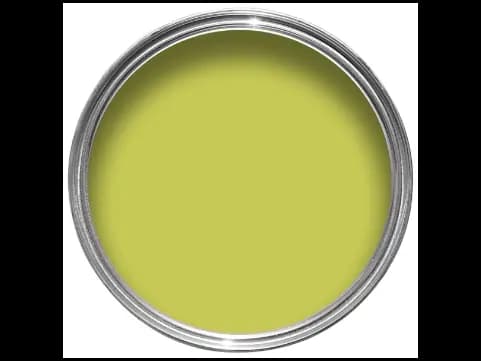 Dulux Interior and Exterior Lime Paint (97YY54/454) (2)