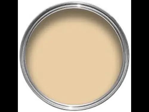 Dulux Interior and Exterior Country Cream Paint (25YY53/242) (2)