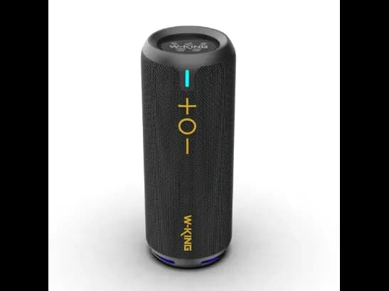 W-KING D320 - 40W Portable Speaker with 1 week checking warranty