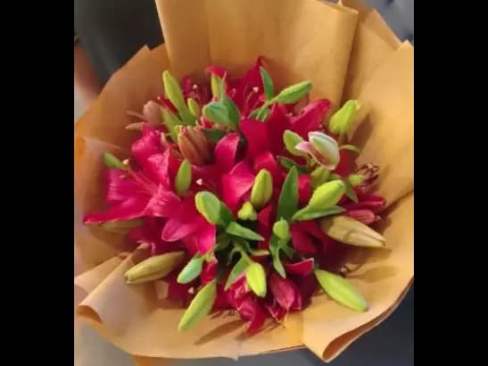 Pink lily bunch
