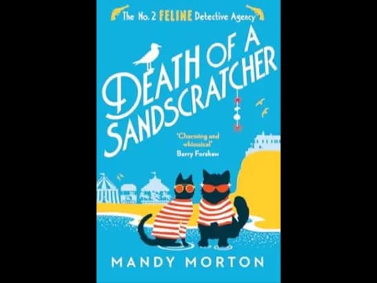 DEATH OF A SANDSCRATCHER - MANDY MORTON