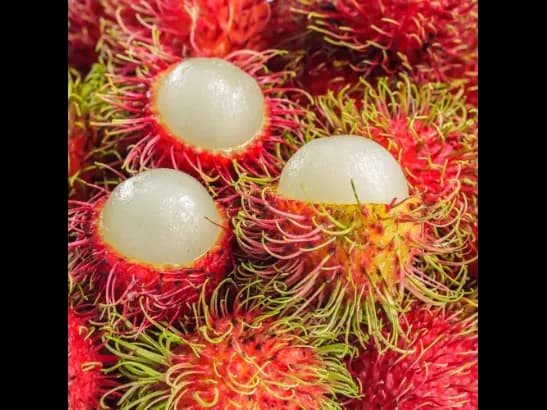 Rambutan - Pre-order (3)
