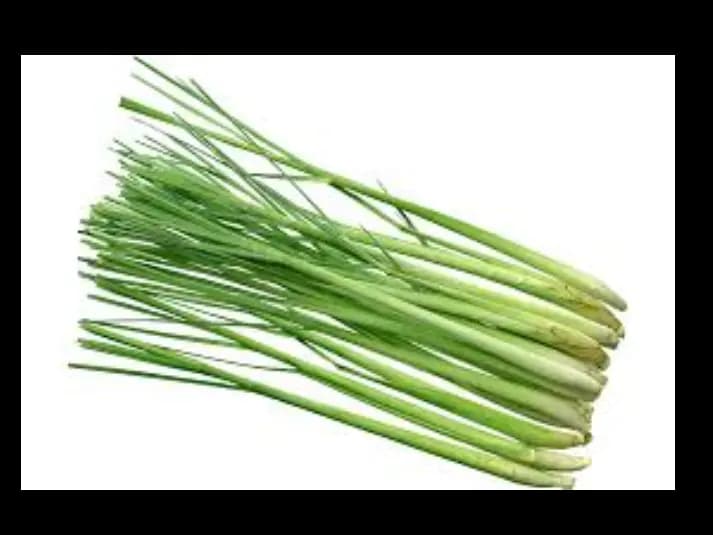 lemon grass ( sera )