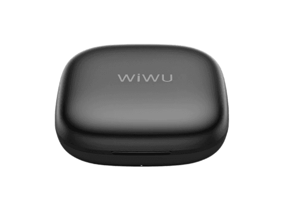 WiWU Wi-WM006 AI Duo Wireless Microphone Type-C – Black with 6 Month Warranty (6)