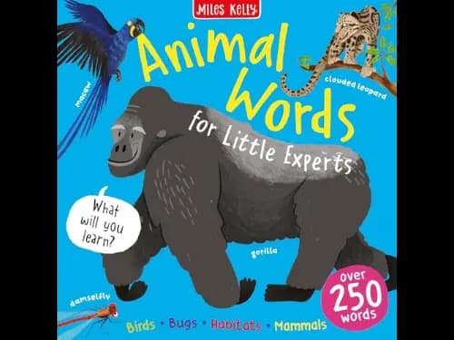 Animal Words