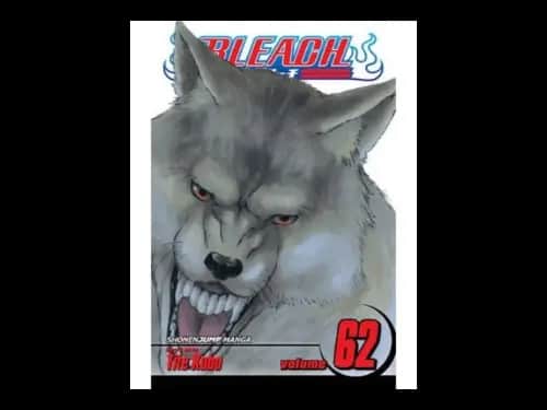 Bleach Volume 62 by Tite Kubo