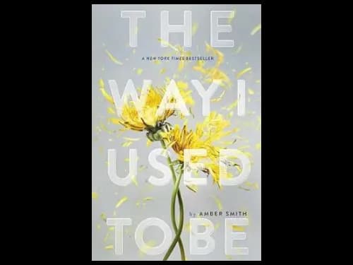 Way I Used To Be by Amber Smith