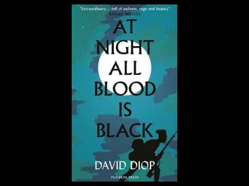 At Night all Blood is Black by David Diop