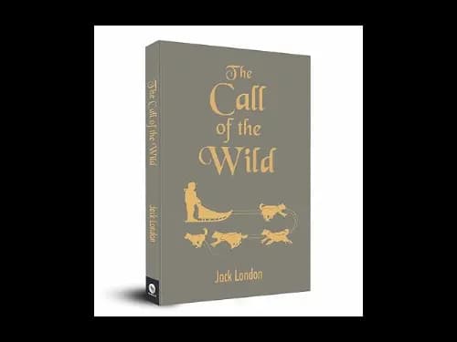Pocket Classics : The Call of The Wild by Jack London