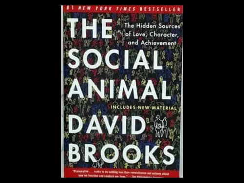THE SOCIAL ANIMAL